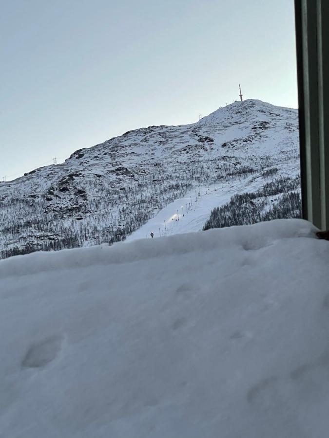Presttind - Studio Apartment With Free Parking Narvik Bagian luar foto